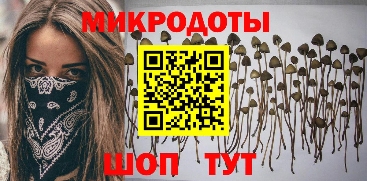 Псилоцибиновые грибы Psilocybe  Вход с VPN  Саяногорск 