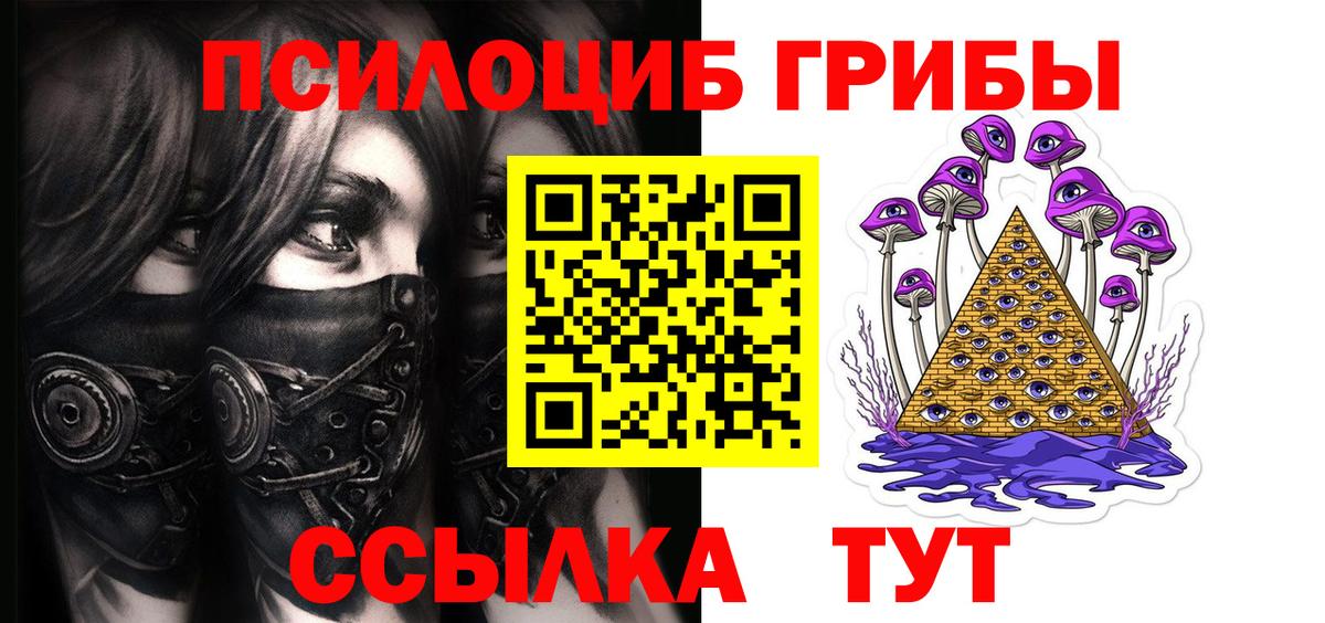 Псилоцибиновые грибы Psilocybine cubensis Саяногорск